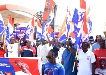 NPP elections bodyguards