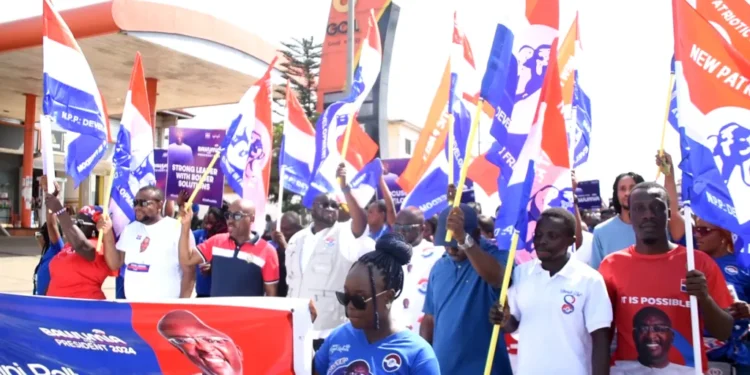 NPP elections bodyguards
