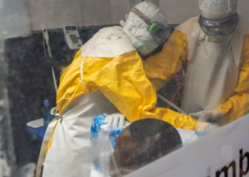 Ebola cases top 8,000 as DRC battles outbreak
