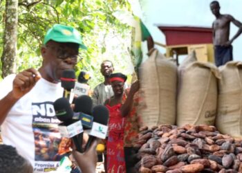 NPP calls GH¢63 cocoa price hike ‘sakawa’
