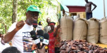NPP calls GH¢63 cocoa price hike ‘sakawa’