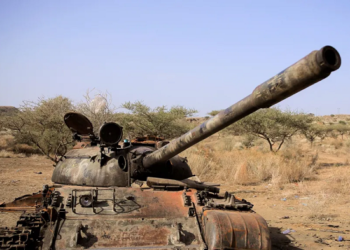 Seven Ethiopian rebel groups form new alliance