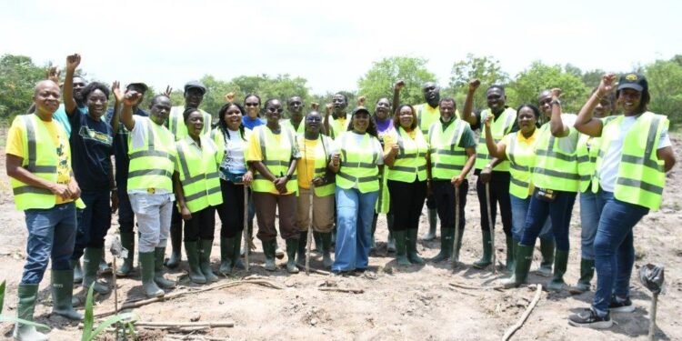 MTN Ghana focuses on SMEs after sustainability campaign
