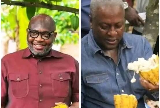 Cocoa price betrayal as govt gives farmers GH¢63 increase
