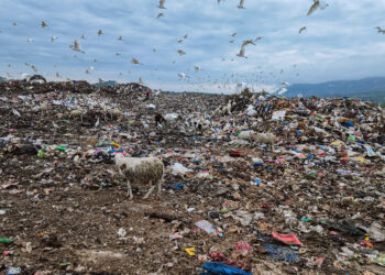 Govt plans Jamestown waste evacuation to Nsawam landfill