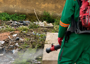 North East: Zoomlion boosts public health with fumigation