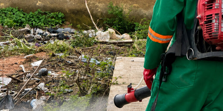 North East: Zoomlion boosts public health with fumigation