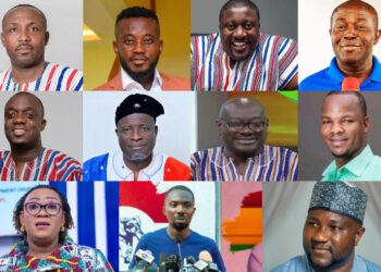 Meet the newly elected NPP national executive officers