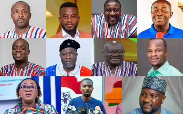 Meet the newly elected NPP national executive officers